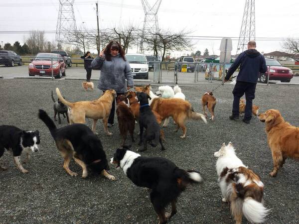 Serpentine Dog-Off-Leash Park | 12589 76 Ave, Surrey, BC V3W 2T7, Canada | Phone: (604) 591-4011