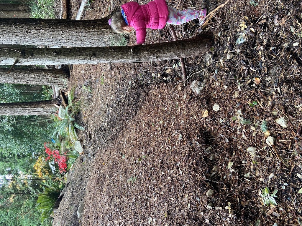 ecosteam outdoor services Ltd. | 3934 St Marys Pl, North Vancouver, BC V7N 4H5, Canada | Phone: (604) 839-3532