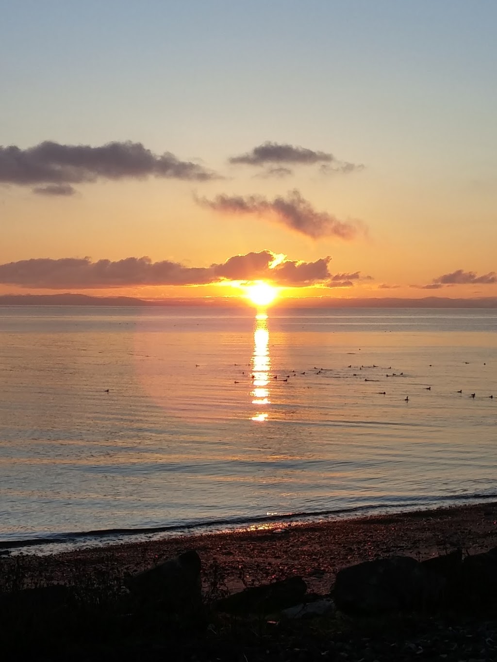 Sausalito Beachside Suites | 1185 Oxford St, White Rock, BC V4B 3P5, Canada | Phone: (604) 538-3237