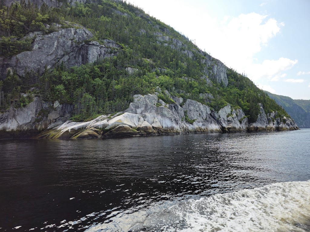 Croisières AML | 165 Rue du Bord de lEau, Tadoussac, QC G0T 2A0, Canada | Phone: (866) 856-6668
