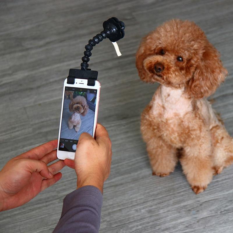 Dog-E-Shop | 125 Drew St, Winnipeg, MB R3Y 1S3, Canada | Phone: (204) 960-9000