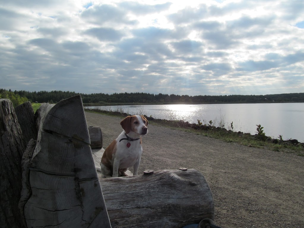 Island Lake Bed and Breakfast | 673206 Hurontario St, Orangeville, ON L9W 2Y8, Canada | Phone: (519) 941-4570