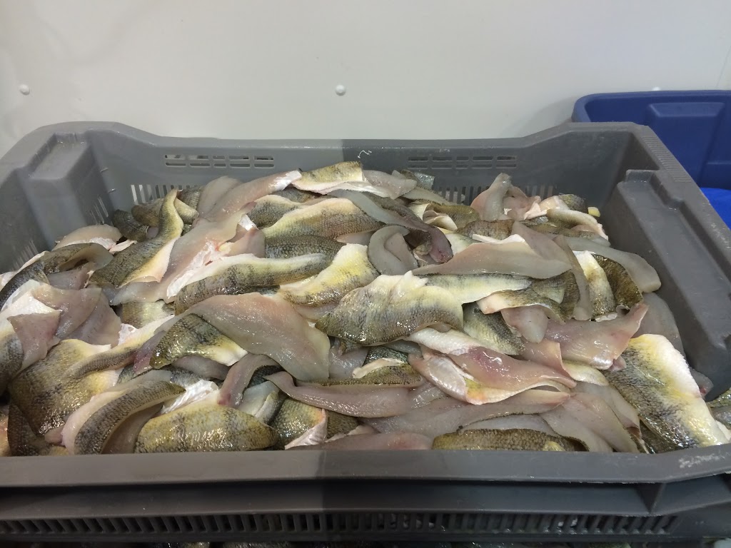 Taylor Fish Company | 419 Erie St S, Wheatley, ON N0P 2P0, Canada | Phone: (519) 825-7366