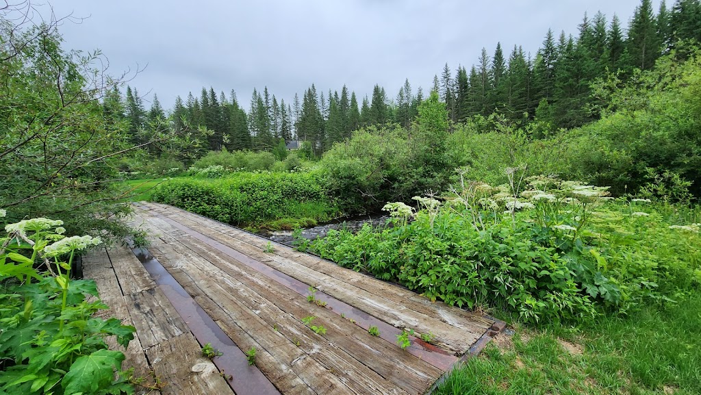 Bear Creek Campground | 50012 Range Rd 91, Drayton Valley, AB T7A 2A3, Canada | Phone: (780) 898-6856