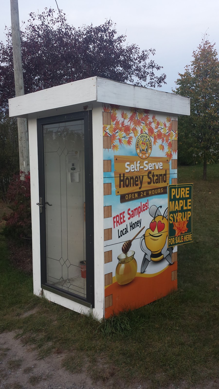 Dare 2 Dream Farm | 8169 Langstaff Rd, Kendal, ON L0A 1E0, Canada | Phone: (905) 216-5113