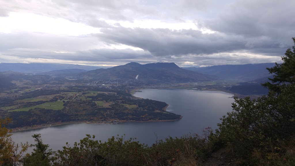 Captains Cove Marina | 2053 73 Ave NE, Salmon Arm, BC V1E, Canada | Phone: (250) 832-5224