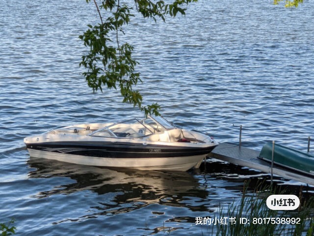 Annies Lakefront Cottage | 112 Starr Blvd, Little Britain, ON K0M 2C0, Canada | Phone: (647) 686-9288
