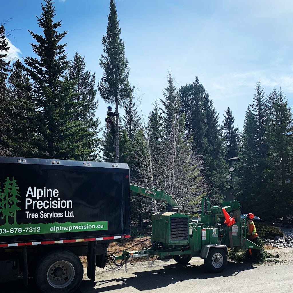 Alpine Precision Tree Services Ltd. | Unit 11, #1 Cougar Mountain Cres, Exshaw, AB T0L 2C0, Canada | Phone: (403) 678-7312