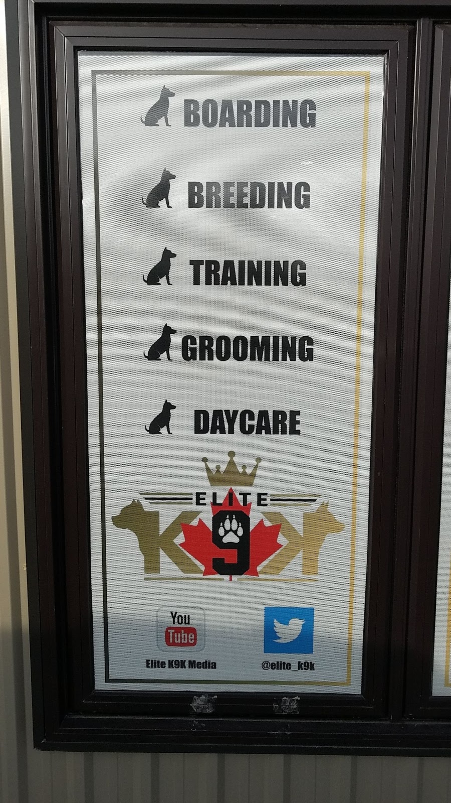 Elite K9K | 6136 Concession Rd 6 N, Amherstburg, ON N9V 0C8, Canada | Phone: (226) 787-1243