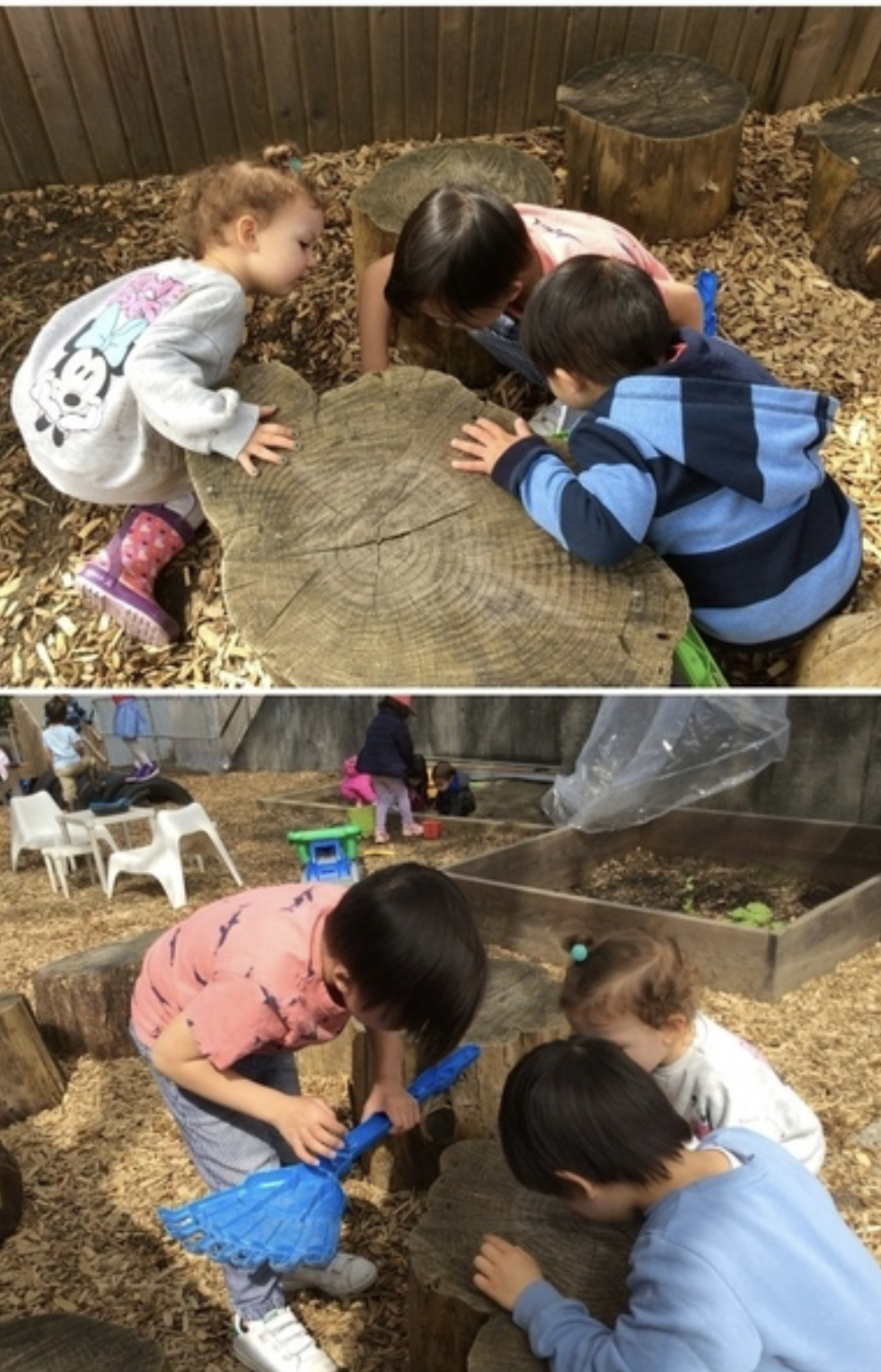 Early Learning Childcare Centre | 3635 Coast Meridian Rd, Port Coquitlam, BC V3B 3N9, Canada | Phone: (604) 475-4800