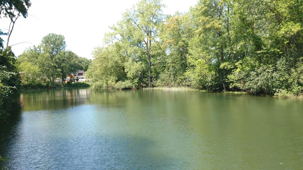 Parc de lÎle-Bray | Rue Bray, Vaudreuil-Dorion, QC J7V 7R3, Canada | Phone: (450) 455-3371