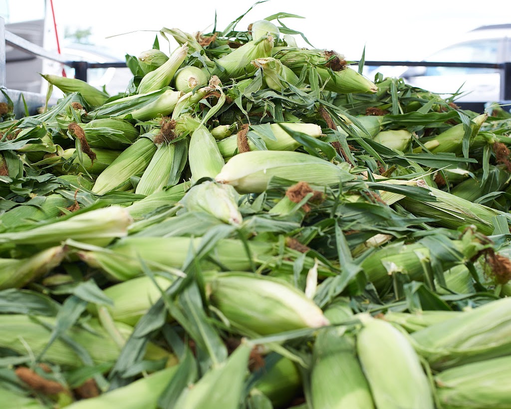 Needhams Market Garden | 1335 Ottawa Rd 29, Arnprior, ON K7S 3G7, Canada | Phone: (613) 983-6082