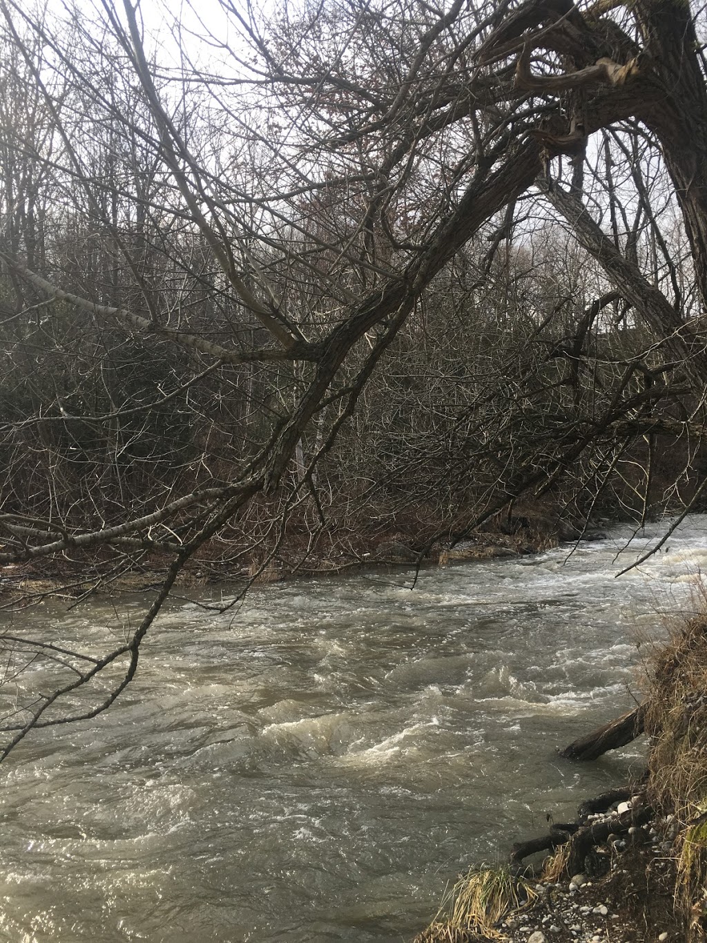 Finch Meander Trail | 361 Old Finch Ave, Scarborough, ON M1B, Canada
