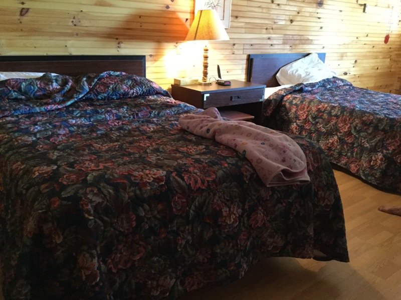 Abby Lane Motel | 9027 Cavendish Rd, Green Gables, PE C0A 1M0, Canada | Phone: (902) 629-5050