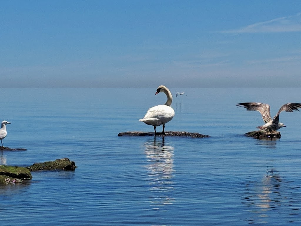 Waters Edge Park | 2070 Waters Edge Dr, Oakville, ON L6L 1A4, Canada | Phone: (905) 845-6601