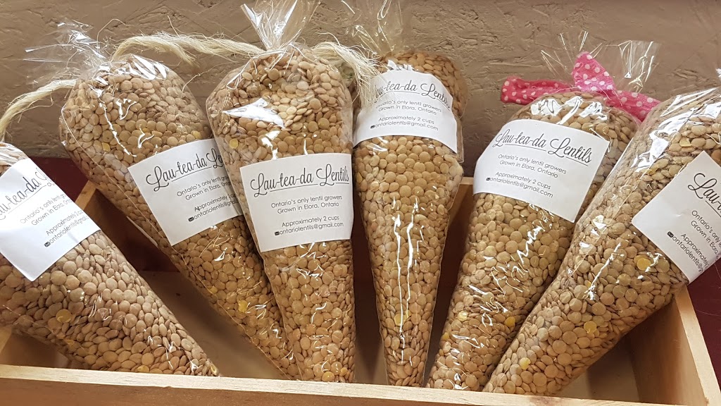 Wheelbarrow Orchards 8277 10 Side Rd, Milton, ON L9T 2X9, Canada