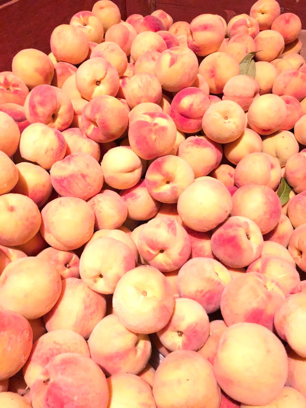 Red Barn Fruit Market | 13818 BC-97, Osoyoos, BC V0H 1V2, Canada | Phone: (250) 498-1488