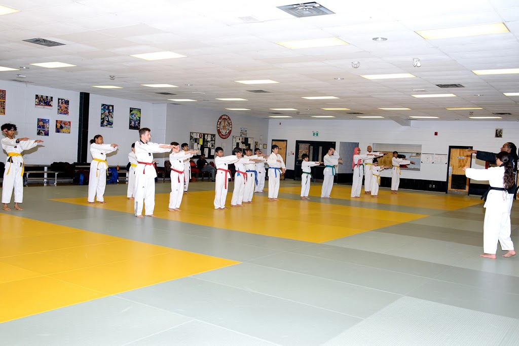 Young Dragons Taekwondo | 1295 Williams Pkwy, Brampton, ON L6S 3J8, Canada | Phone: (905) 601-8923