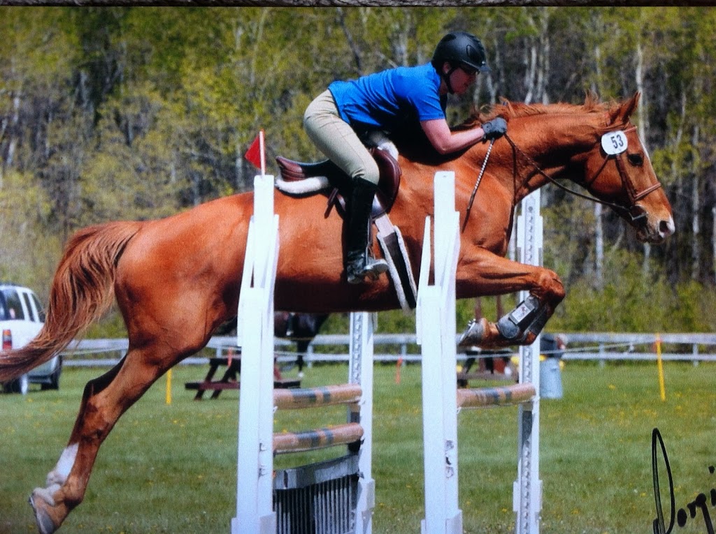 Lea Bank Equestrian Centre | Box 352, Rosenort, MB R0G 1W0, Canada | Phone: (204) 226-0746