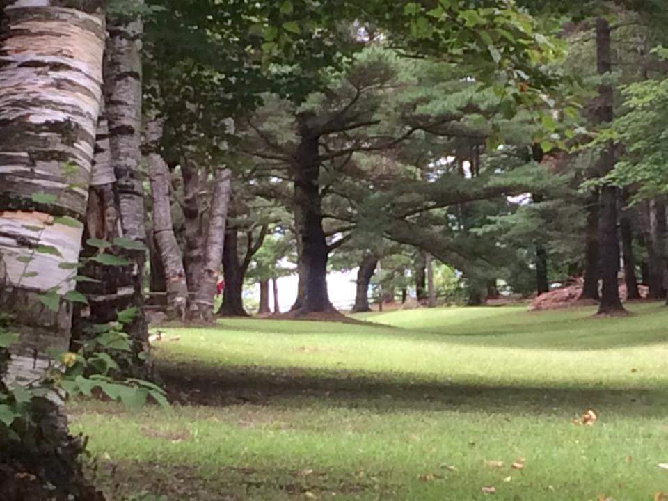 Sanilac County Lexington Park | 3885 Lakeshore Rd, Lexington, MI 48450, USA | Phone: (810) 359-7473