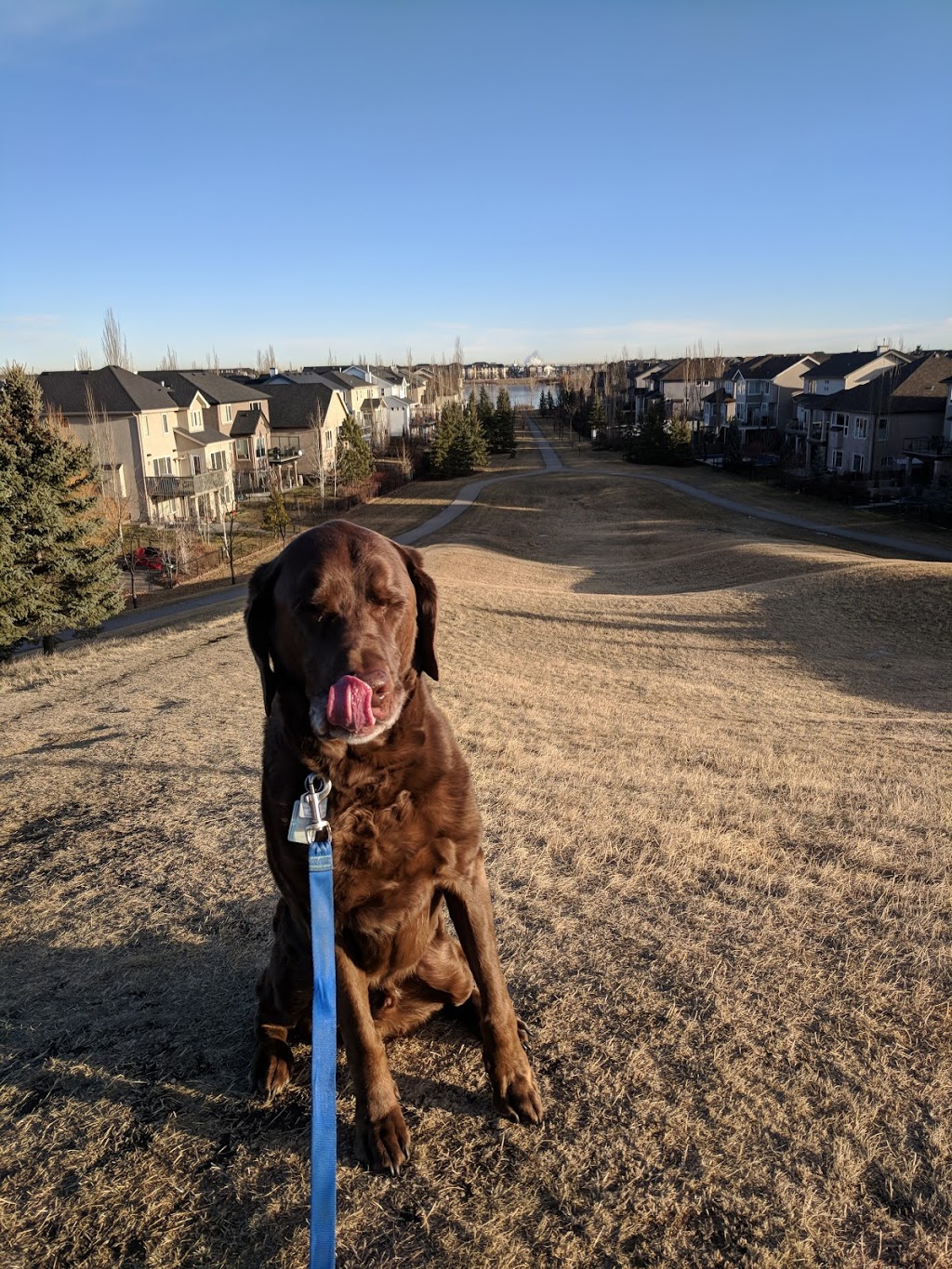 McKenzie Towne Hill | 180 McKenzie Towne Dr SE, Calgary, AB T2Z 4P8, Canada