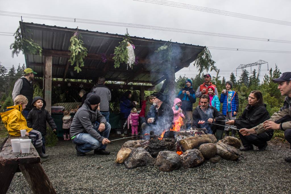 Whiskey Creek Christmas Tree Farm | Melrose Rd, Qualicum Beach, BC V9K 2M9, Canada | Phone: (250) 661-9528