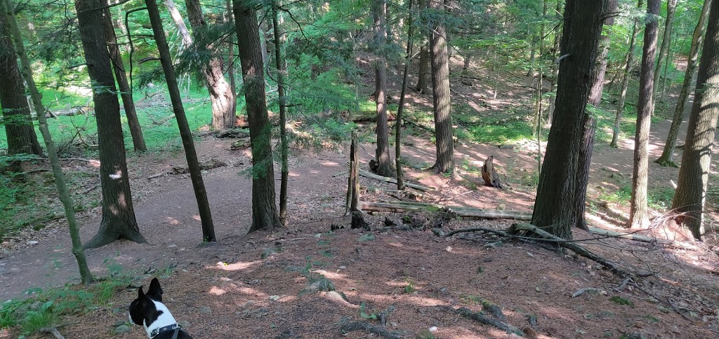 Rouge National Urban Park, Twyn Rivers | 55 Twyn Rivers Dr, Scarborough, ON M1B, Canada | Phone: (416) 264-2020