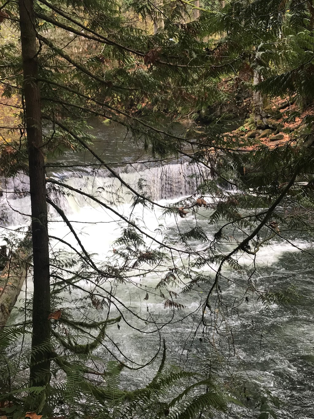 whatcom falls park parking | 1552-1574 Silverbeach Rd, Bellingham, WA 98229, USA
