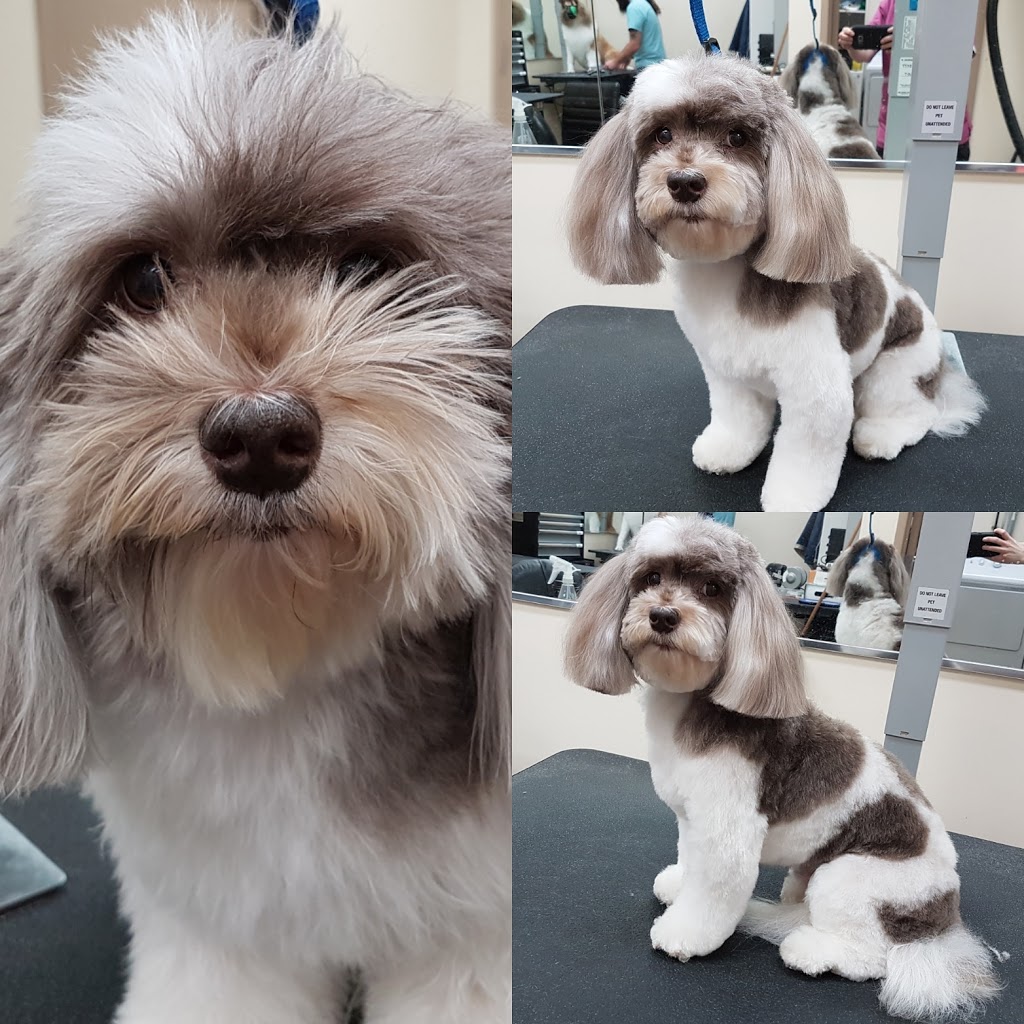 Pets N Groom Inc | 2501 Guelph Line, Burlington, ON L7M 2A3, Canada | Phone: (905) 335-7122