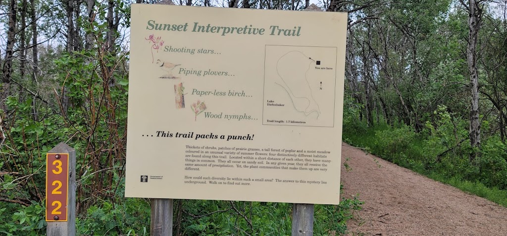 Douglas Provincial Park Campground | Unnamed Road, Elbow, SK S0H 1J0, Canada | Phone: (306) 854-6266