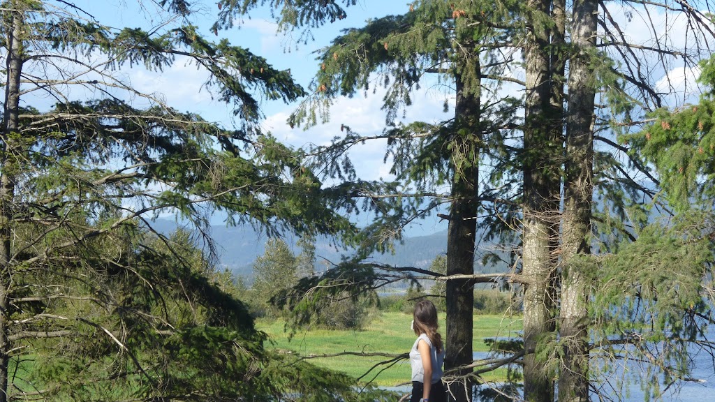 Sandpiper Golf Club | Kent, BC V0M 1L0, Canada | Phone: (877) 796-1001