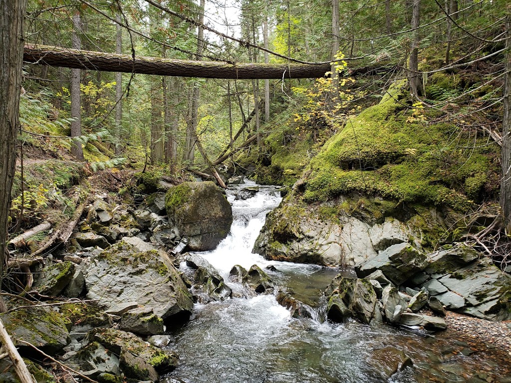 Tsútswecw (Roderick Haig-Brown) Provincial Park | Columbia-Shuswap F, BC V0E, Canada | Phone: (250) 320-9305
