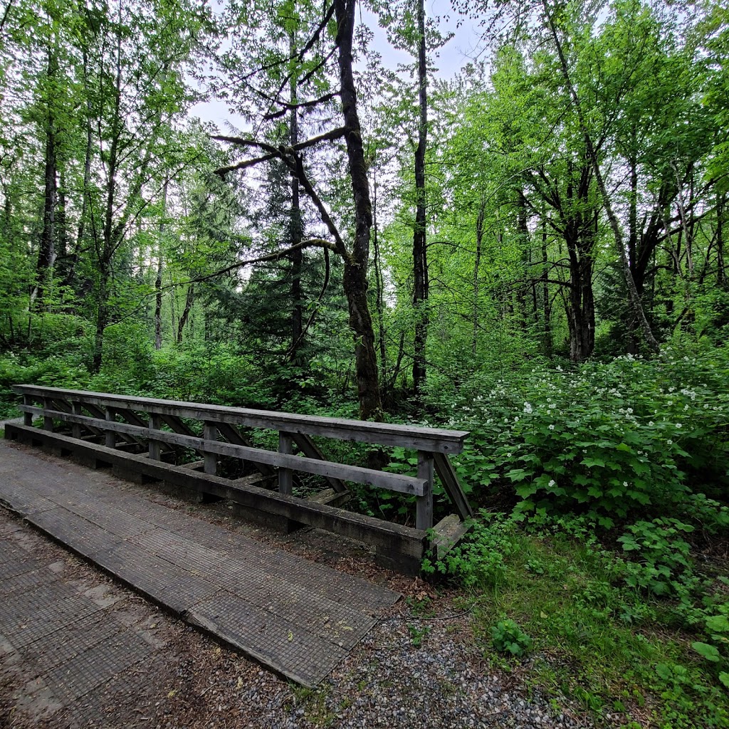 Cheam Lake Wetlands Regional Park | 53480 Elgey Rd, Rosedale, BC V0X 1X1, Canada | Phone: (604) 702-5000