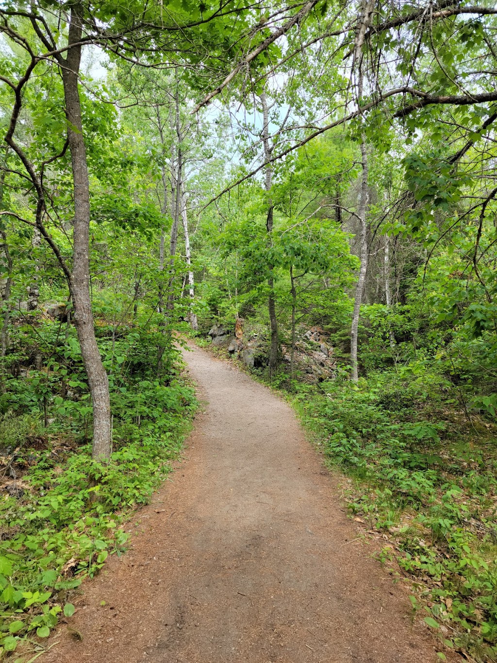 Chutes Provincial Park | 660 Imperial St N, Massey, ON P0P 1P0, Canada | Phone: (705) 865-2021