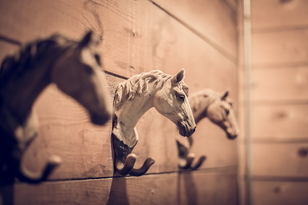 Meadow Green Stables | 1727 Loudoun Rd, Winnipeg, MB R3S 1A3, Canada | Phone: (204) 895-1911