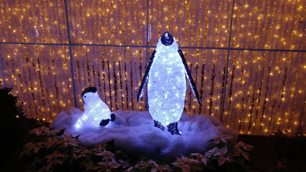 Glow Abbotsford | 1190 Cornell St, Abbotsford, BC V2T 6H5, Canada | Phone: (604) 850-1533