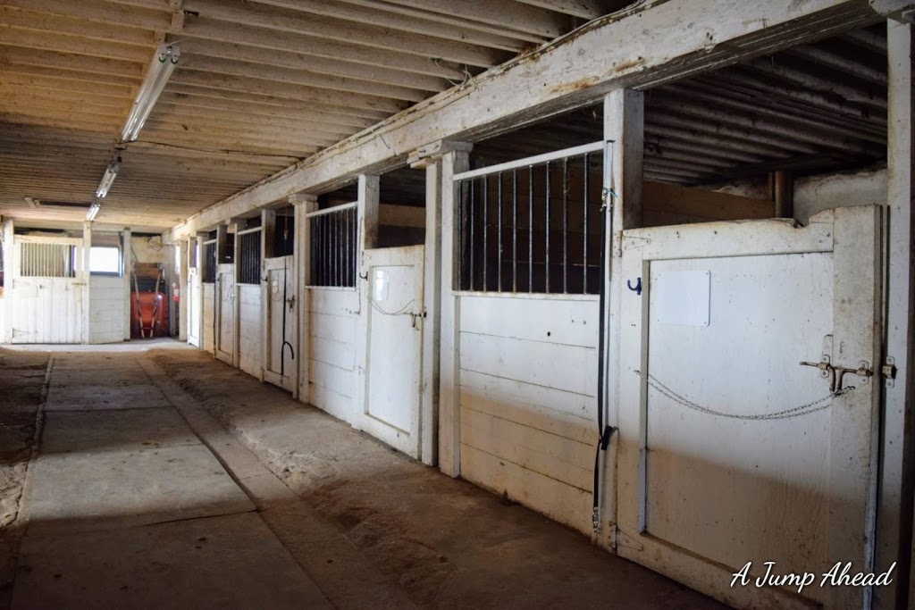 A Jump Ahead | 15010 Dufferin St, King, ON L7B 1G2, Canada | Phone: (905) 716-8925
