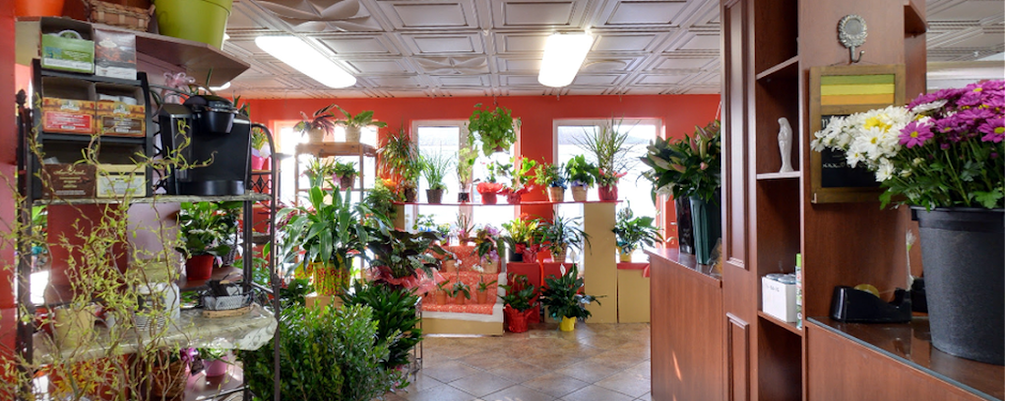 Fleuriste Lijenthem Sherbrooke | 752 Rue du Conseil, Sherbrooke, QC J1G 1L2, Canada | Phone: (819) 562-6254