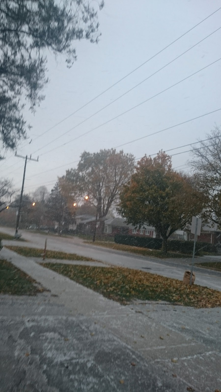 Norseman Heights Park | 100 Chartwell Rd, Etobicoke, ON M8Z, Canada