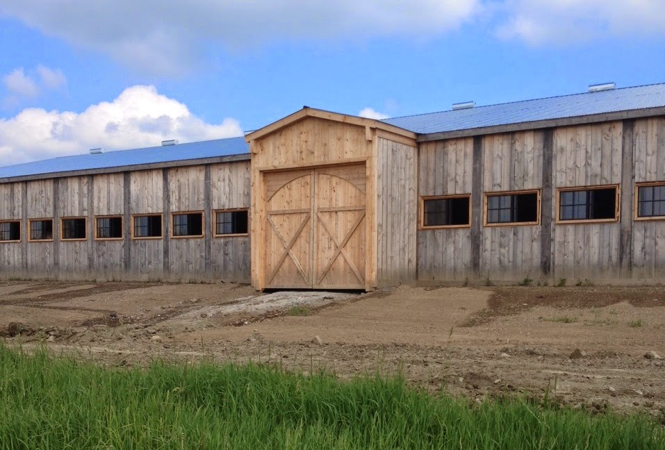 Meadowlarke Stables | 5154 3 Line, Acton, ON L7J 2L8, Canada | Phone: (800) 295-0419