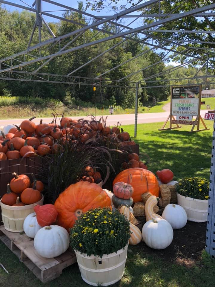 YFM - Beachville Rd Market | 585085 Beachville Rd, Woodstock, ON N4S 7V6, Canada | Phone: (519) 535-1835