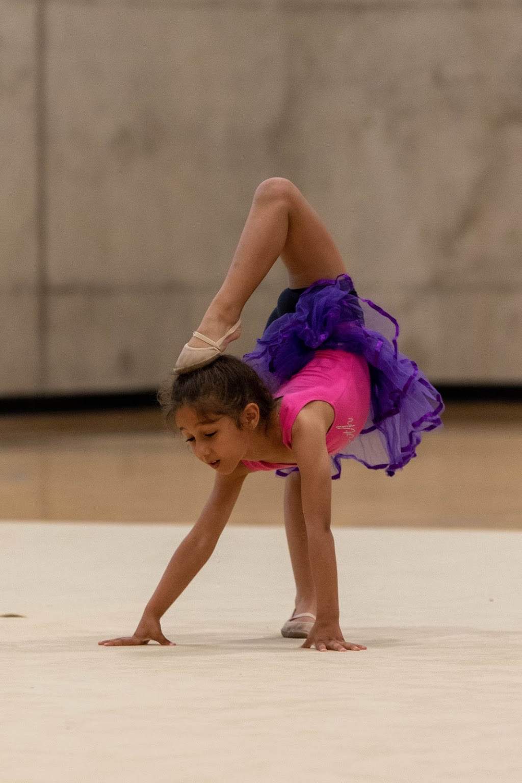 Mississauga Newnorth Rhythmic Gymnastics Club | 5600 Rose Cherry Pl, Mississauga, ON L4Z 4B6, Canada | Phone: (416) 571-8779