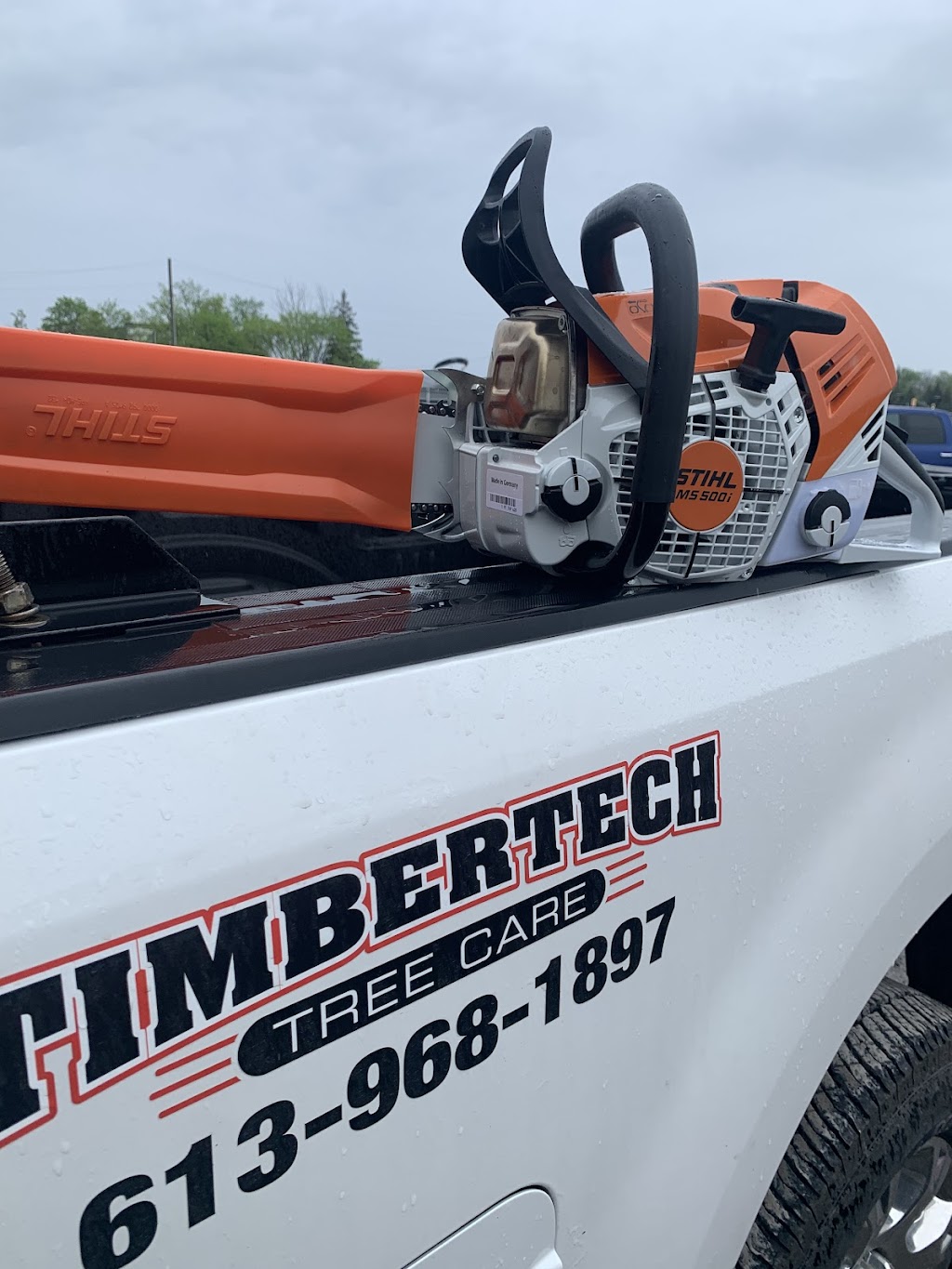 Timbertech Tree Care | 654 Airport Rd, Stirling, ON K0K 3E0, Canada | Phone: (613) 968-1897