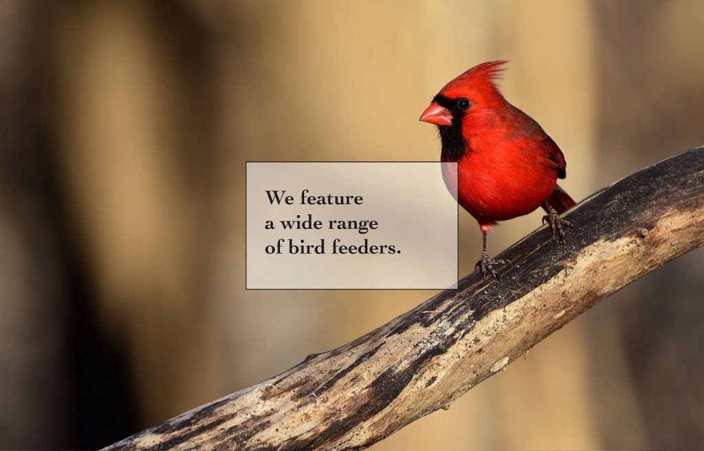 Bird House Nature Co | 108 Mississaga St E, Orillia, ON L3V 1V7, Canada | Phone: (705) 329-3939