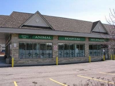 Fletchers Creek Animal Hospital | veterinary care | 10 Earlsbridge Blvd, Brampton, ON L7A 3P1, Canada | 9054956600 OR +1 905-495-6600