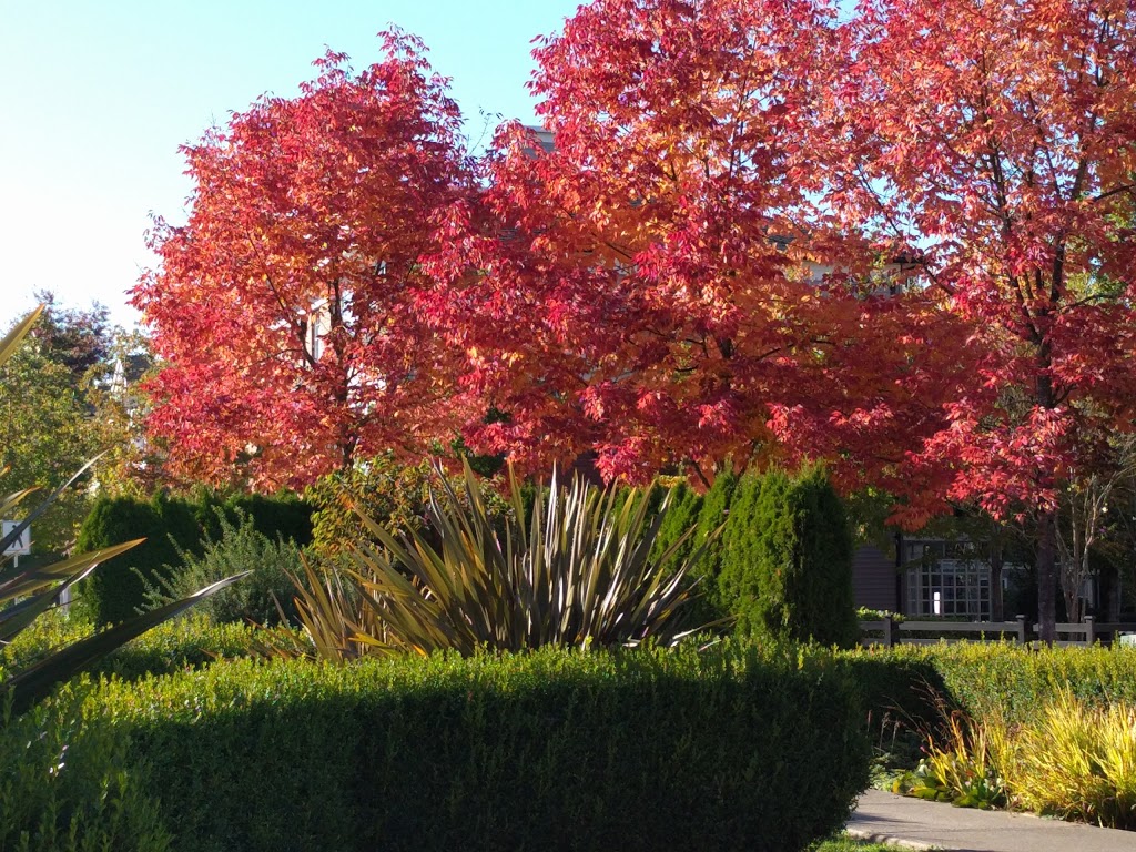 Roundabout Park | 19501 Fraser Way, Pitt Meadows, BC V3Y, Canada | Phone: (604) 467-7346