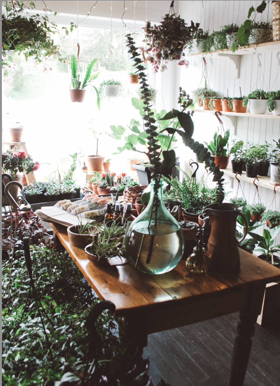 ESPACE LABRI | 800 Chem. du Village, Morin-Heights, QC J0R 1H0, Canada | Phone: (514) 568-7084
