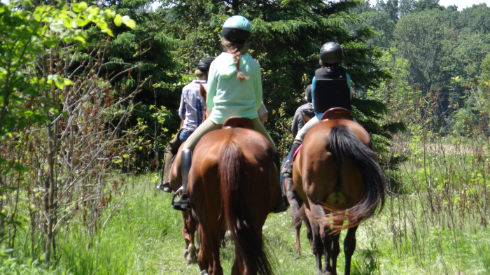 Horse Country Campground | 503 Rafting Rd, Foresters Falls, ON K0J 1V0, Canada | Phone: (613) 867-0585