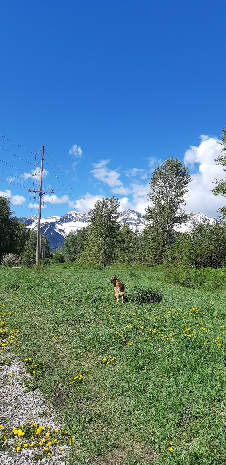 Railyard Dog Park | 95 Ridgemont Ave, Fernie, BC V0B 1M0, Canada | Phone: (778) 509-0701
