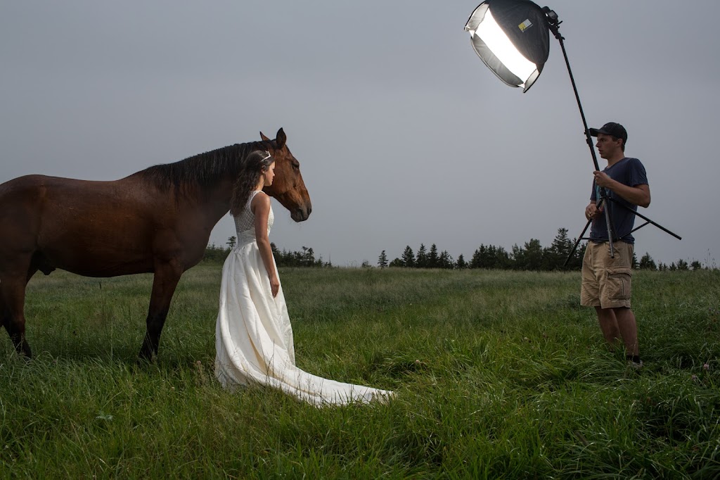 Dave Brosha Photography | 250 Long Creek Rd, New Dominion, PE C0A 1H6, Canada | Phone: (902) 393-2487